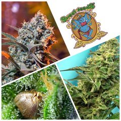CollageMaker_20200406_163514126_compress72.jpg