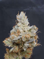 Strawpicanna#3