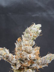 Strawpicanna#3