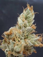 Strawpicanna#3