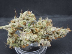 Strawpicanna#11