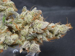 Strawpicanna#11