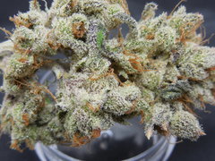 Strawpicanna#11