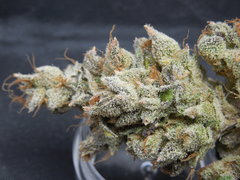 Strawpicanna#11