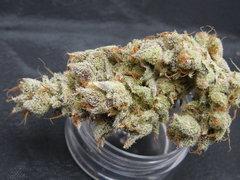 Strawpicanna#11