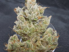 Strawpicanna#11