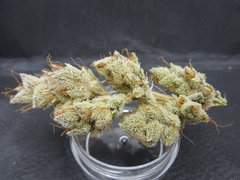 Strawpicanna#14