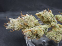Strawpicanna#14