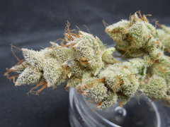 Strawpicanna#14