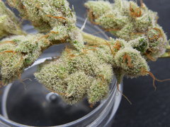 Strawpicanna#14
