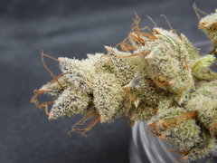 Strawpicanna#14