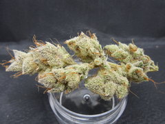 Strawpicanna#14