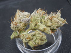 Strawpicanna#14