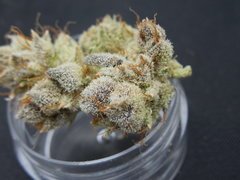 Strawpicanna#14