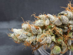 Strawpicanna#6
