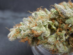 Strawpicanna#6