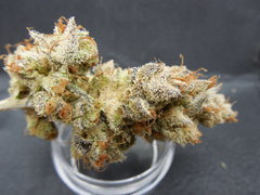 Strawpicanna#9