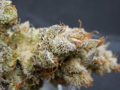 Strawpicanna#9