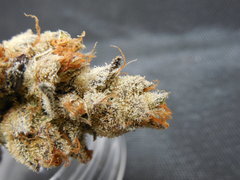 Strawpicanna#9