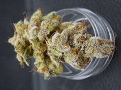 Strawpicanna#9