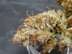 Strawpicanna#9
