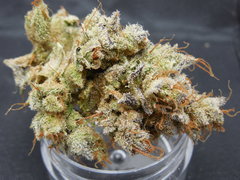 Strawpicanna#9