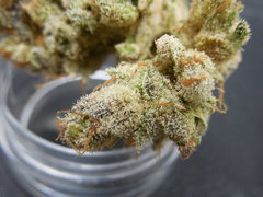 Strawpicanna#9