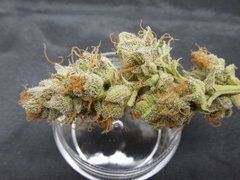 Strawpicanna#10