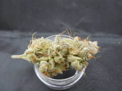 Strawpicanna#10