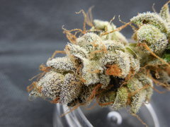 Strawpicanna#10