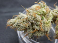 Strawpicanna#10