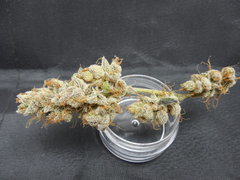 Strawpicanna#10