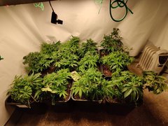 IMG_20200312_195306.jpg