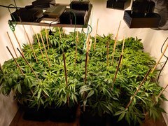 IMG_20200326_204132.jpg