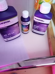 IMG_20200411_215108.jpg