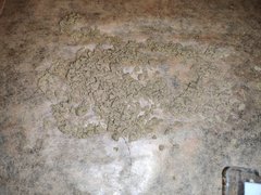 IMG_20200413_155631.jpg