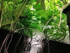 IMG_20200415_220606.jpg