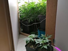 IMG_20200415_220747.jpg