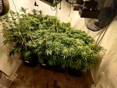 IMG_20200416_201857.jpg