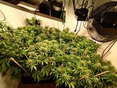 IMG_20200422_190215.jpg