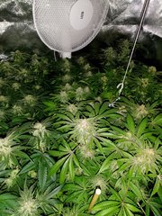 IMG_20200430_215620