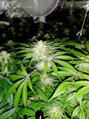 IMG_20200430_215628
