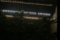 IMG_3740.JPG