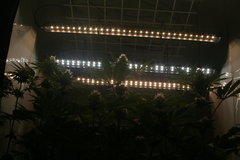 IMG_3744.JPG