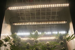 IMG_3746.JPG