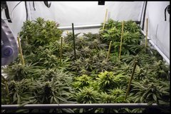 _DSC5314