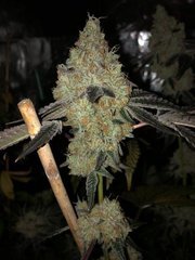12 Wedding Cake