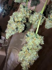 16 Wedding Cake