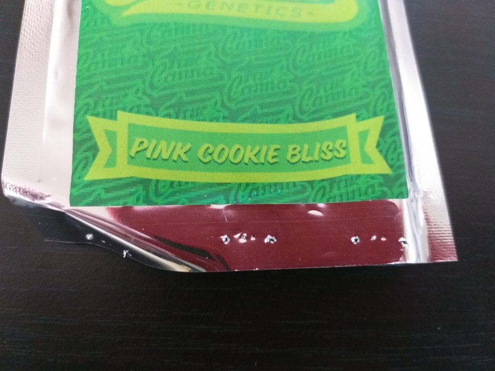 1550389989_PinkCookieBliss(4).thumb.jpg.606fe67a2c76025bcfed095f809bb5b7.jpg