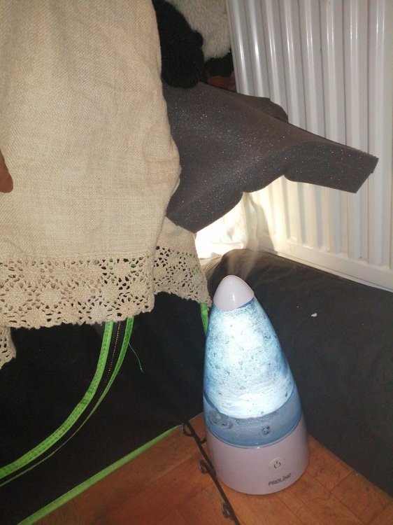 15895791887925158398430439469591.thumb.jpg.961f67d72a06f90ad3823d3a3a0336bd.jpg